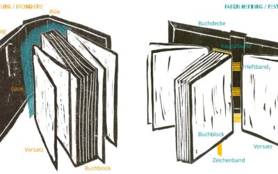 Buch Aufbau